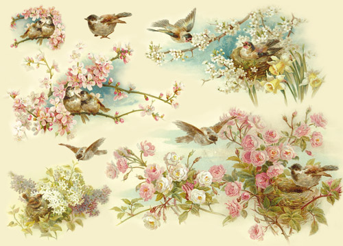 Рисовая бумага для декупажа, Птицы и цветущие деревья, Stamperia DFS145, купить- магазин АртДекупаж